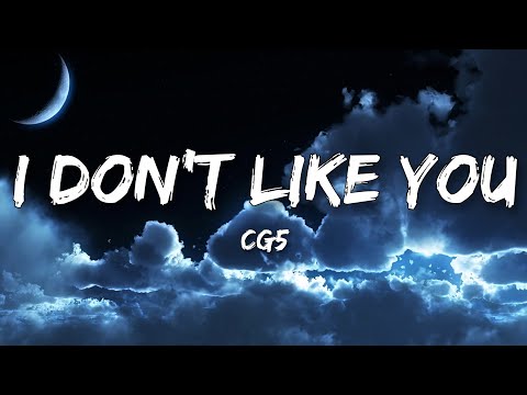CG5 - I DON'T LIKE YOU (Meme Lyrics)