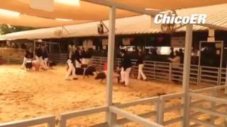 Livestock competitions being held this am at buttecountyfair.org in Gridley #Fair runs thru sun http