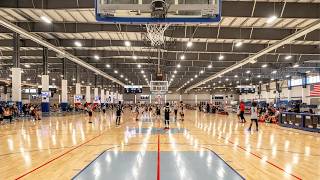 Section 7 Preview with Nikki Balich