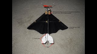 Son of a Witch micro rogallo RC aircraft