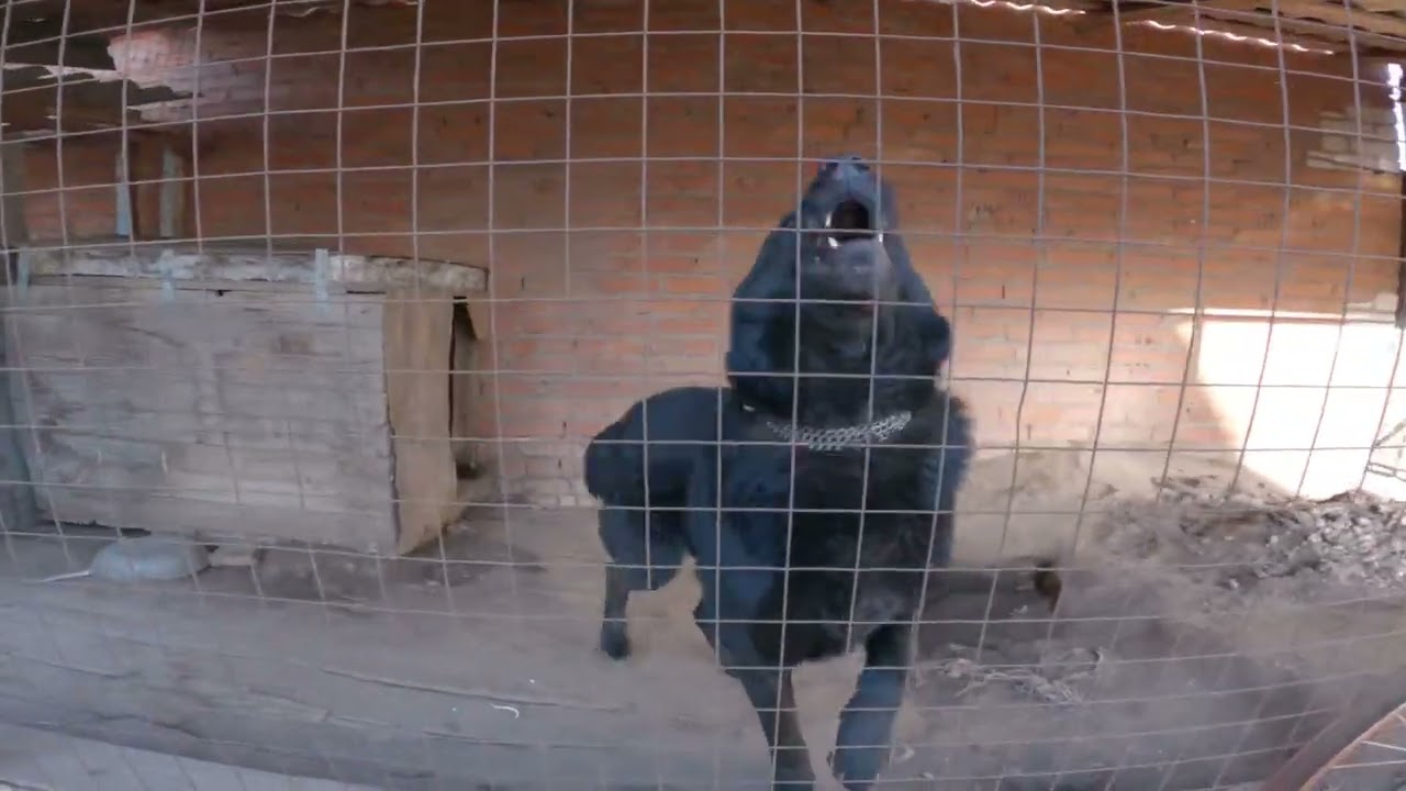 The Road Romance | Дорожная Романтика