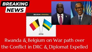 Rwanda Belgium On War Path Over The Conflict In Drc Diplomat Expelled