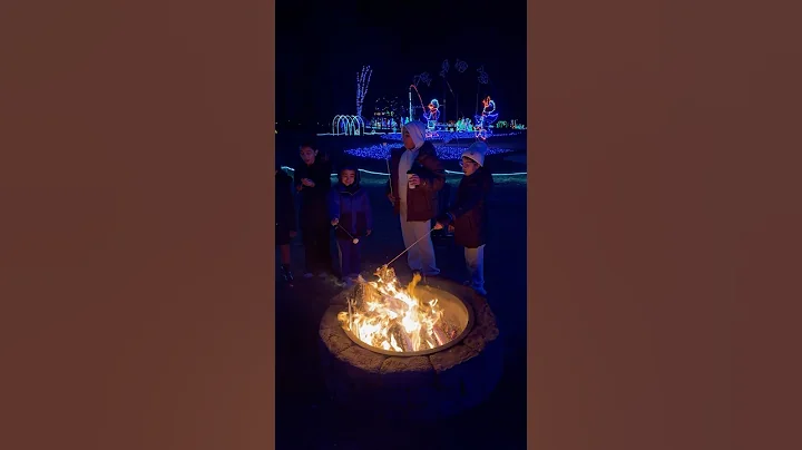 Christmas Lights! #holiday #christmas #light #winter #kids #fire #fyp #trend #video #youtube #shorts