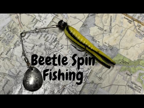 Beetle Spin Fishing (Episode #12) 
