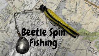 Beetle Spin Fishing (Episode #12)