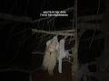 ill never be normal because this is my idea of a night out #creepy #nightmare #tree #nature #fairy