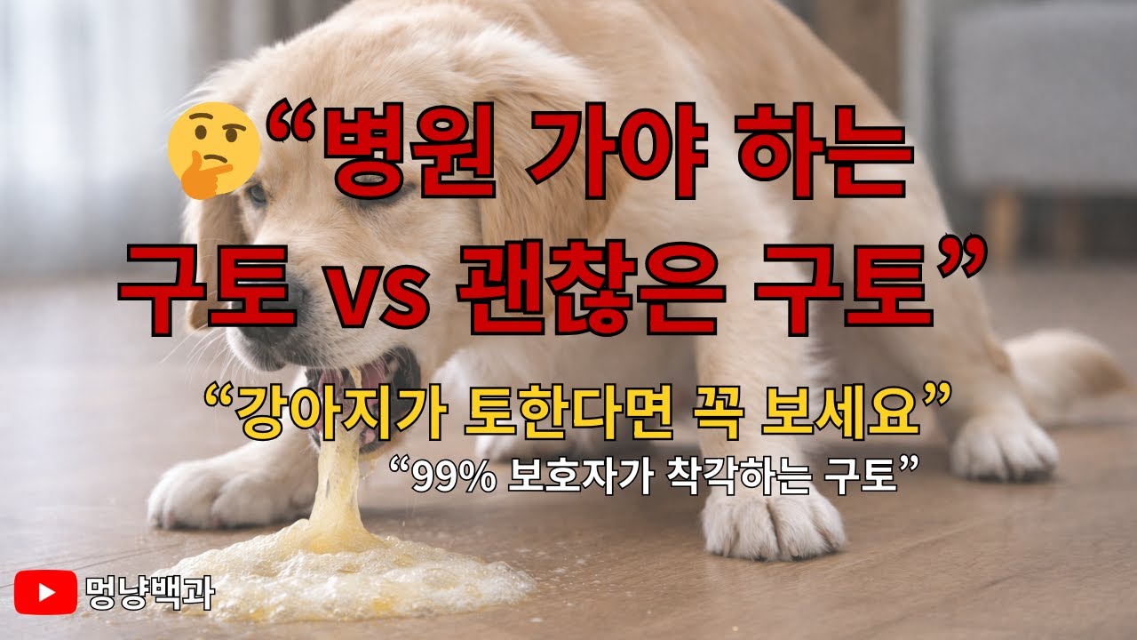 😰“보호자가 놓치면 큰일 납니다”