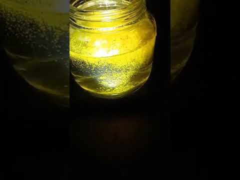 turmeric music