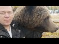 Утренняя встреча с медведем(1)