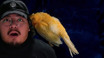 1ST LISTEN REACTION The Plot In You - LEFT BEHIND [Lyric Video]