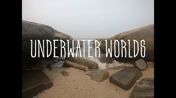 Underwater Worlds ~ The Intertidal Zone