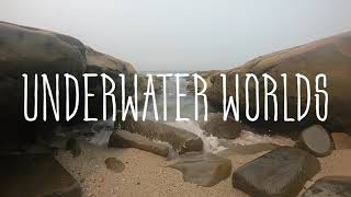 Underwater Worlds The Intertidal Zone