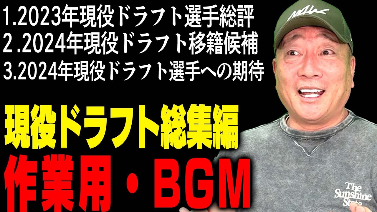 【作業用・睡眠用・聞き流し】現役ドラフトまとめ