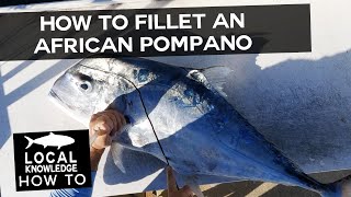Mastering African Pompano Filleting Technique  | Local Knowledge Fishing Show