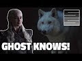 The Role Of Ghost In Game Of Thrones Season 8 - End Game Theory
