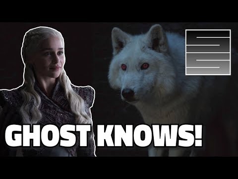 The Role Of Ghost In Game Of Thrones Season 8 End Game Theory