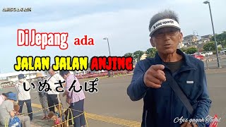 Di Jepang  ada jalan jalan anjing @AjisgagahTegalvlogjepang