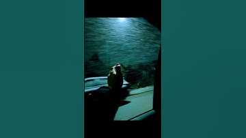Thumbnail of Song Name-No Surprises With Door Bell Start #songs#sad#nosurprises