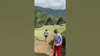 Waerebo Tour With Nusa Flores Travel