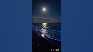 تلاوة مؤثرة|آية الكرسي -سورة البقرة 255|بصوت خاشع #القرآن #تلاوة #آيات #ذكر #دعاء