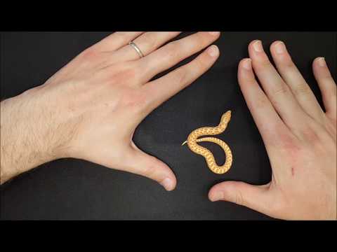 Video: Un serpente hognose può ucciderti?