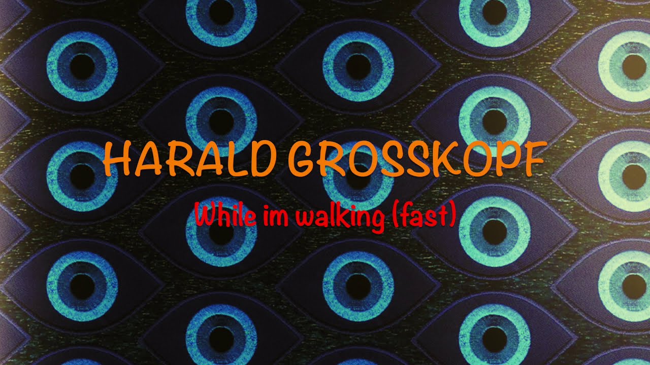 HARALD GROSSKOPF While im walking (fast) auf YouTube ansehen HARALD GROSSKOPF While im walking (fast) auf YouTube ansehen