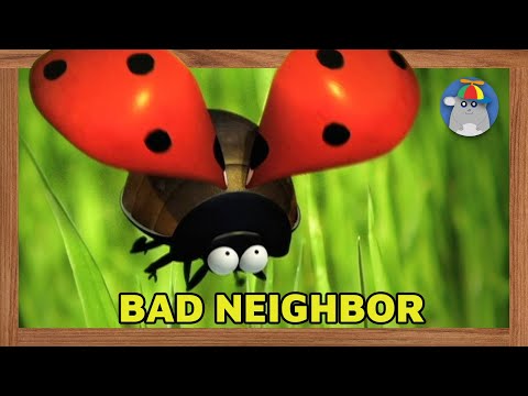Video: Ar Ladybugs įkando? Faktai Ir Galimas šalutinis Poveikis
