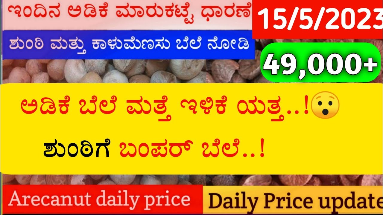 Today arecanut price Today chali price Today shivamogga apmc price
