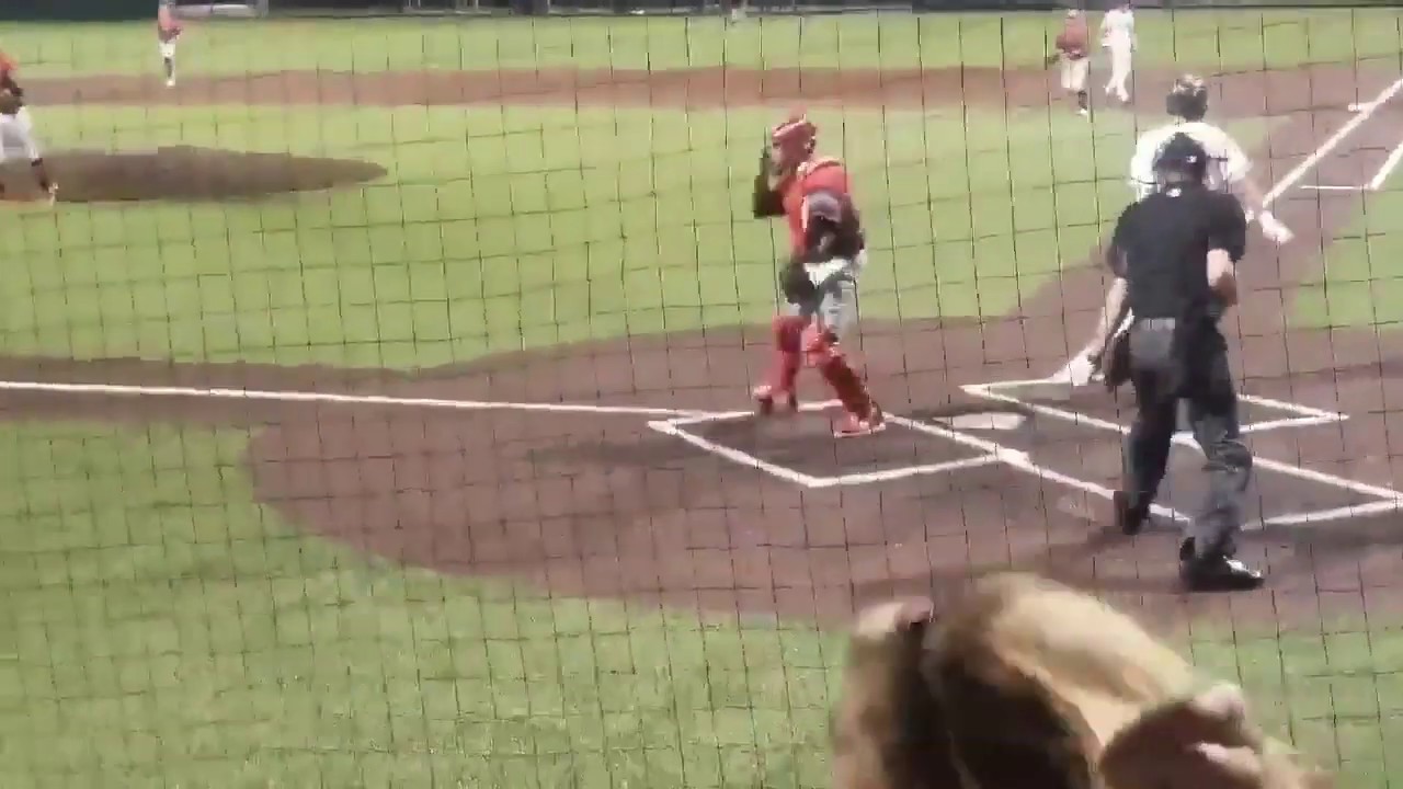 Landrum Baseball 2019 Class AA State Championship Final Out - Dean Bridges
