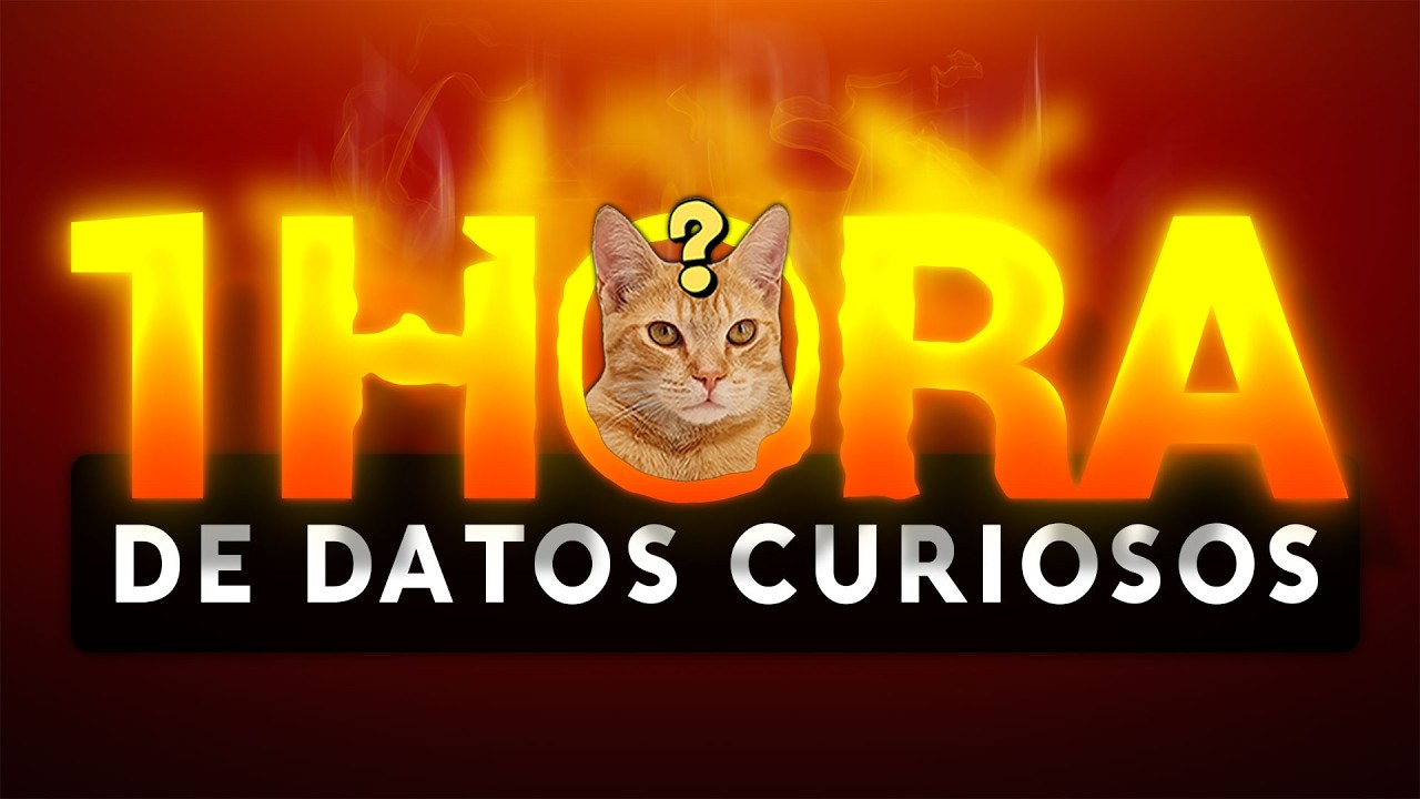 1 HORA de DATOS CURIOSOS y COSAS QUE NO SABÍAS ⏰😲