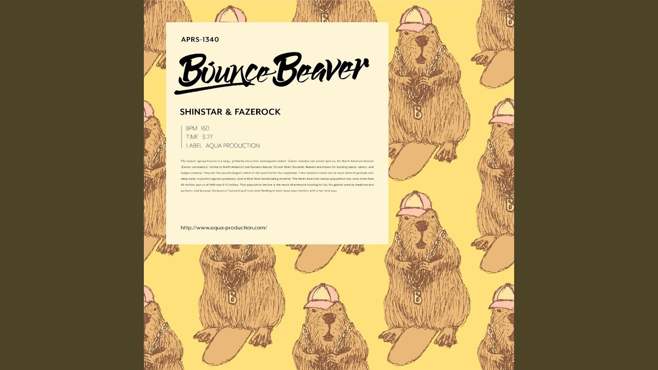 Bounce Beaver auf YouTube ansehen Bounce Beaver auf YouTube ansehen