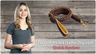 Exquisite Leather Dog Leash with Soft Handle for Walking and Training - Review screenshot 5