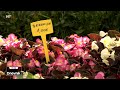 Na Bundeku otvoren jubilarni Floraart