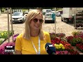 Na Bundeku otvoren jubilarni Floraart