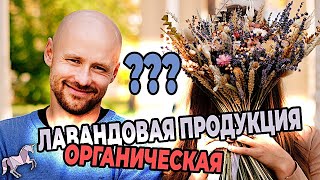картинка: Выращивание органической лаванды в питомнике Лавандовый Замок