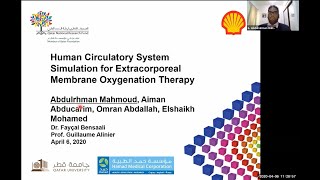 3rd place: Human Circulatory System Simulation for Extracorporeal Membrane Oxygenation Therapy