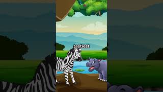 Zebra #ZebraAndGiraffe #WildAdventure #KidsCartoon #Friendship #AnimatedSeries