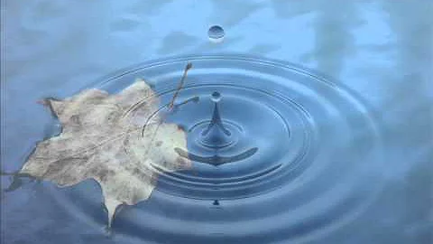 Sitting With Breath -- A Guided Meditation with Lo...