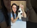 Milk the Cow diy shorts
