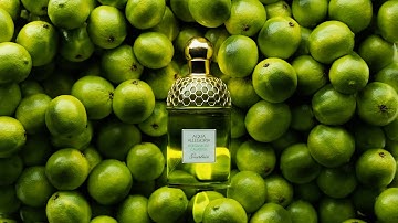 Guerlain | Aqua Allegoria Bergamotte | 3D Perfume Light Animation