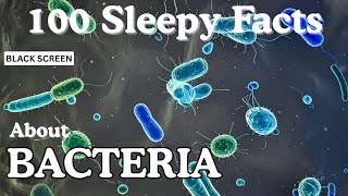 The Most Relaxing Facts About The Bacteria to Fall Asleep To screenshot 5