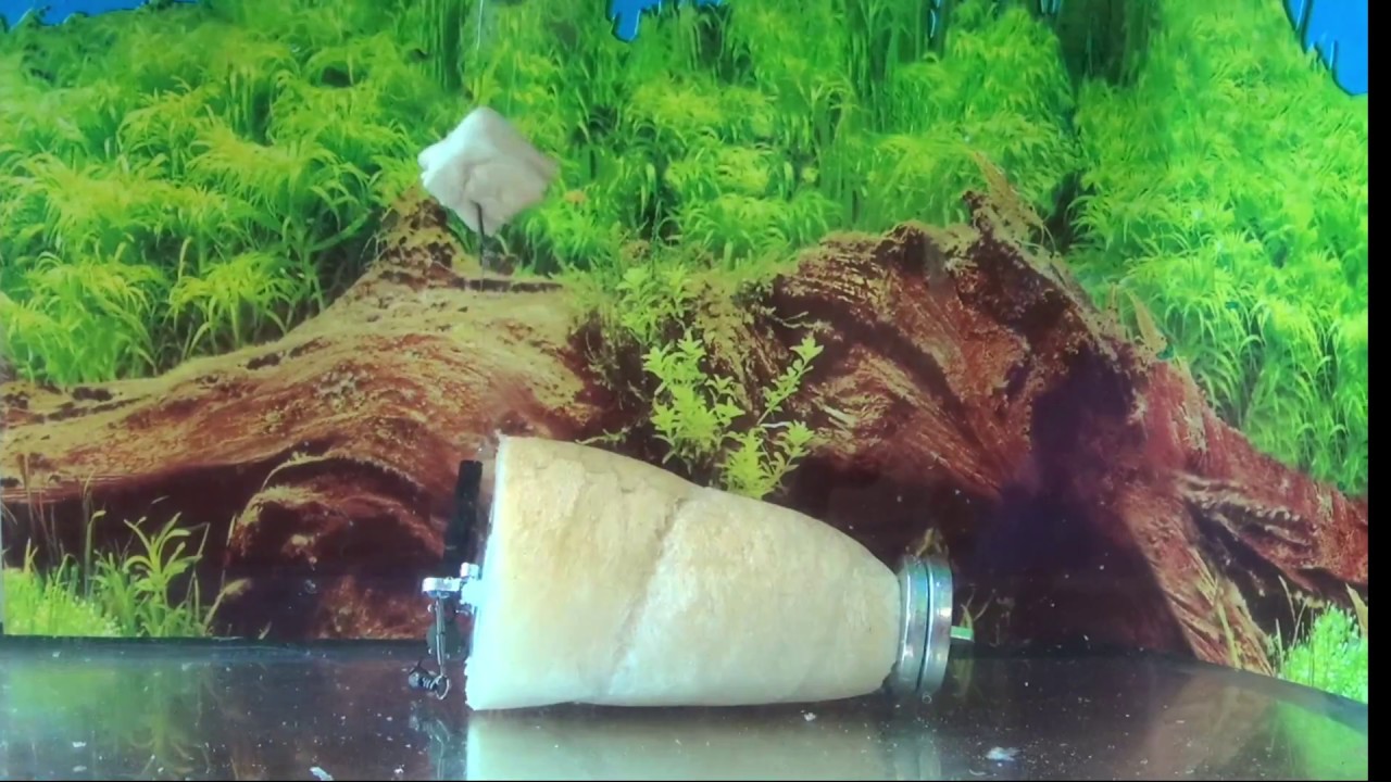 PATRON FISHING - KOMBINATOR + ROHLÍK - YouTube