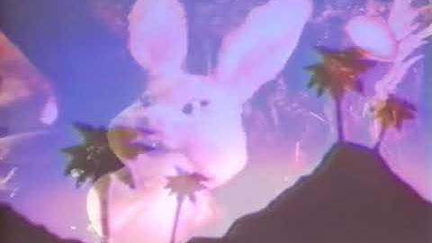 Pictorial Candi - Anaemic Wishes Lyric video