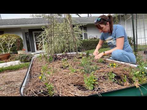 Put away, put in the ground, just putting around