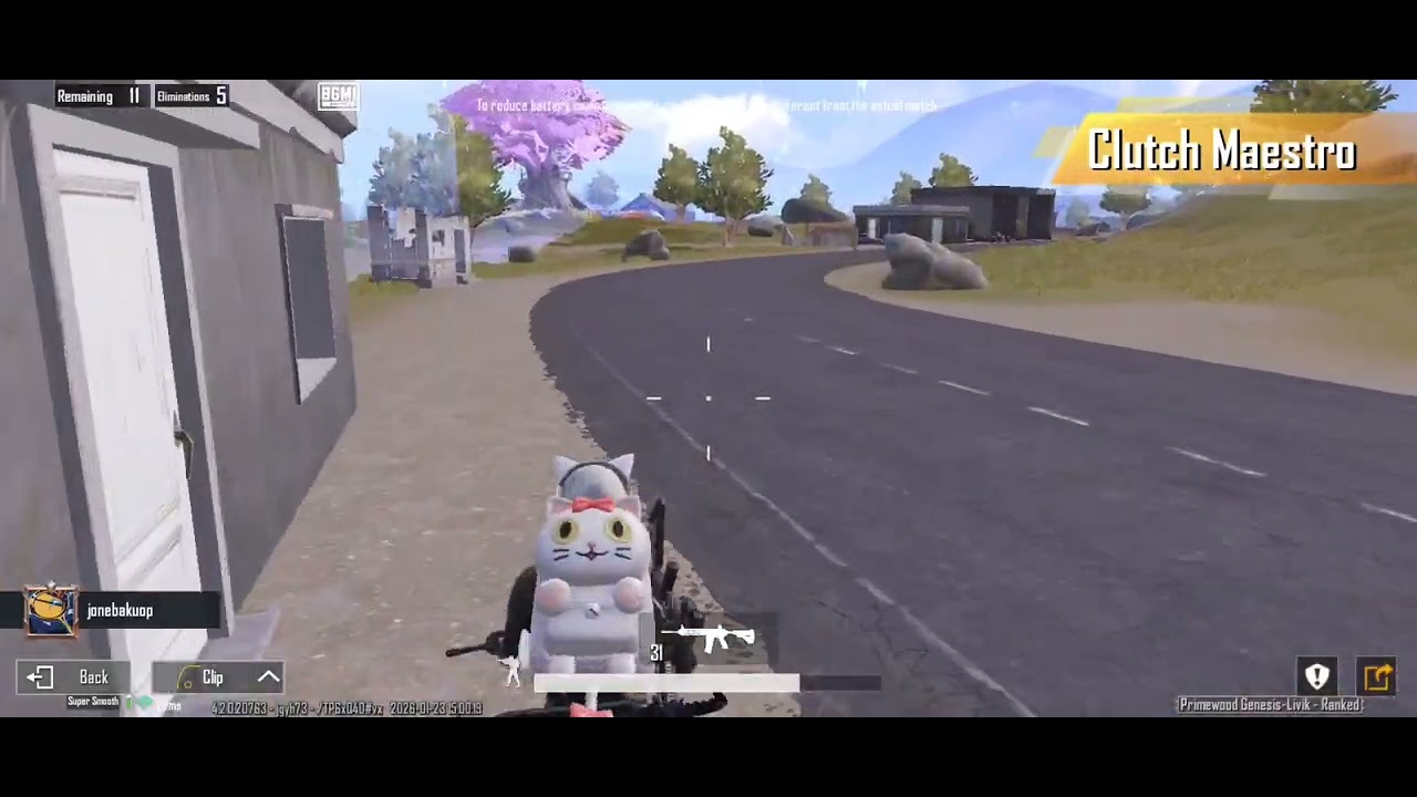 Ranked livik gameplay 😁 winner winner chicken dinner 😜