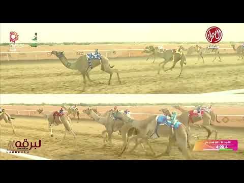 ش10 مناور ل أحمد علي طالب ال سالم البريكي مهرجان ولي عهد السعودية 10 09 2025ص ثنايا قعدان 9 41 76