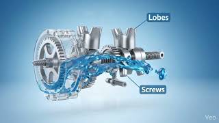 Positive Displacement Pump Assembly