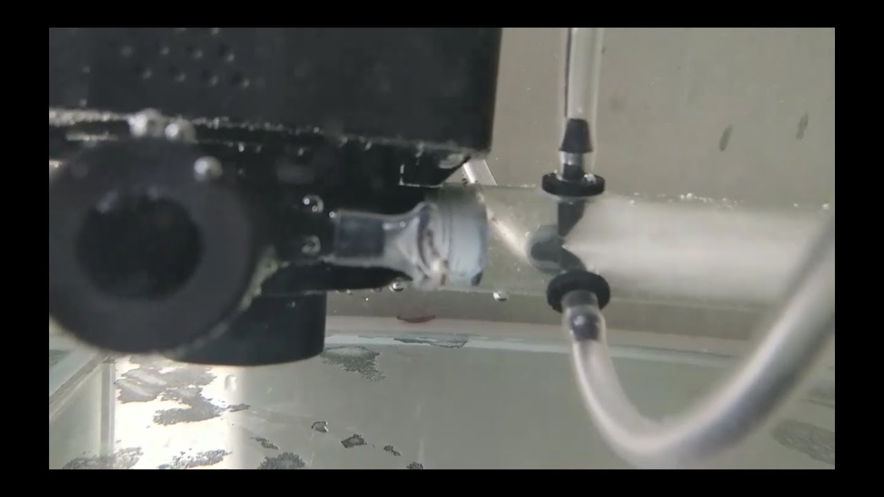 DIY Venturi aquarium (dengan 3 hisapan udara) sangat gampang dan Murah