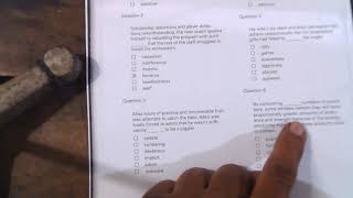 GRE Lectures - Sentence Equivalence Practice Questions WIN 20180917 19 19 50 Pro