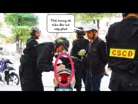 Video Không có giấy phép lái xe, bằng lái xe giả phạt bao... - youtube